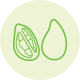 Baobab icon