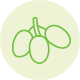 Neem icon